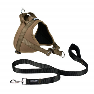 -15% Kit Harnais Automne Animalin® Noisette (de S à XXL) + Laisse renforcée 1m20