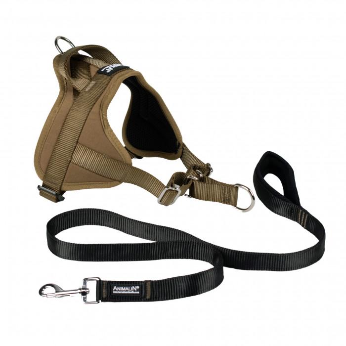 -15% Kit Harnais Automne Animalin® Noisette (de S à XXL) + Laisse renforcée 1m20