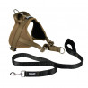 -15% Kit Harnais Automne Animalin® Noisette (de S à XXL) + Laisse renforcée 1m20