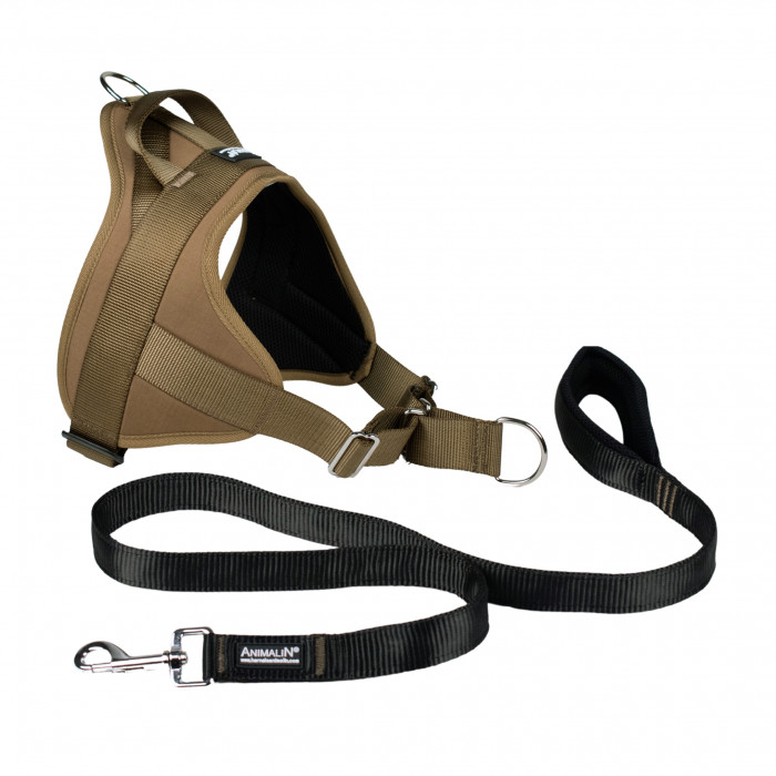 -15% Kit Harnais Automne Animalin® Noisette (de S à XXL) + Laisse renforcée 1m20