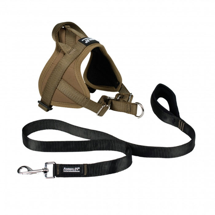 -15% Kit Harnais Automne Animalin® Noisette (de S à XXL) + Laisse renforcée 1m20