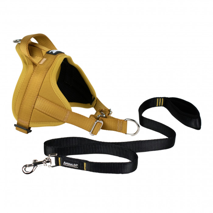 -15% Kit Harnais Automne Animalin® Ocre jaune (de S à XXL) + Laisse renforcée 1m20