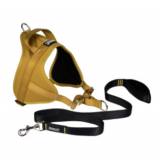 -15% Kit Harnais Automne Animalin® Ocre jaune (de S à XXL) + Laisse renforcée 1m20