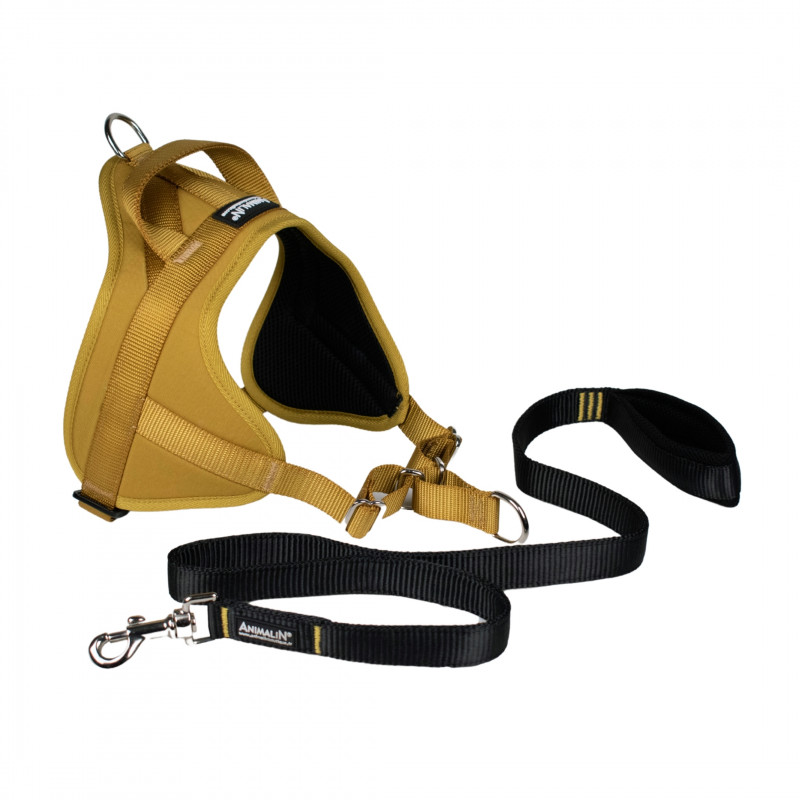 -15% Kit Harnais Automne Animalin® Ocre jaune (de S à XXL) + Laisse renforcée 1m20