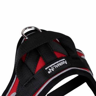 Reflex Rouge – 5 tailles – Harnais de marche en laisse