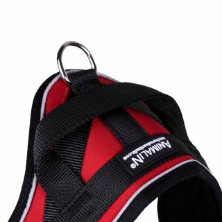 Reflex Rouge – 5 tailles – Harnais de marche en laisse