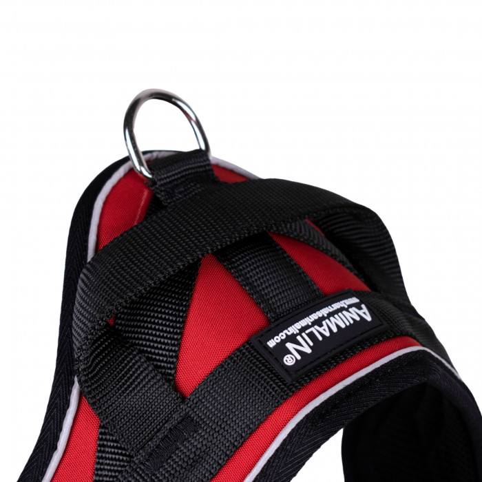 Reflex Rouge – 5 tailles – Harnais de marche en laisse