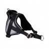 Reflex Noir – 5 tailles – Harnais de marche en laisse