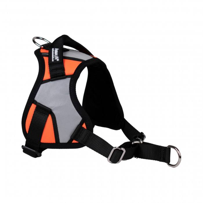 Reflex Plus Orange fluo – 5 tailles – Harnais de marche en laisse