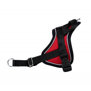 -25% Taille XXS – Harnais Animalin® REFLEX Rouge