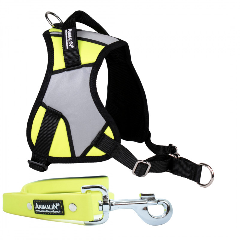 -10% Kit Harnais Animalin® REFLEX PLUS Jaune + Laisse Fluo plate 150 cm/25 mm