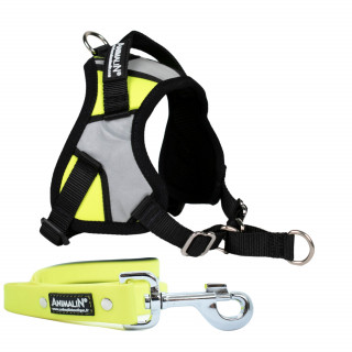 -10% Kit Harnais Animalin® REFLEX PLUS Jaune + Laisse Fluo plate 150 cm/25 mm