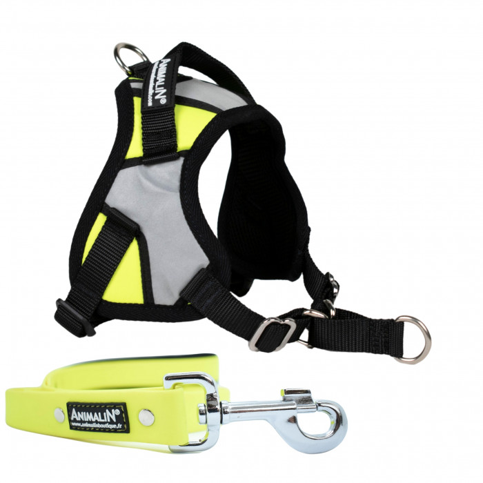 -10% Kit Harnais Animalin® REFLEX PLUS Jaune + Laisse Fluo plate 150 cm/25 mm