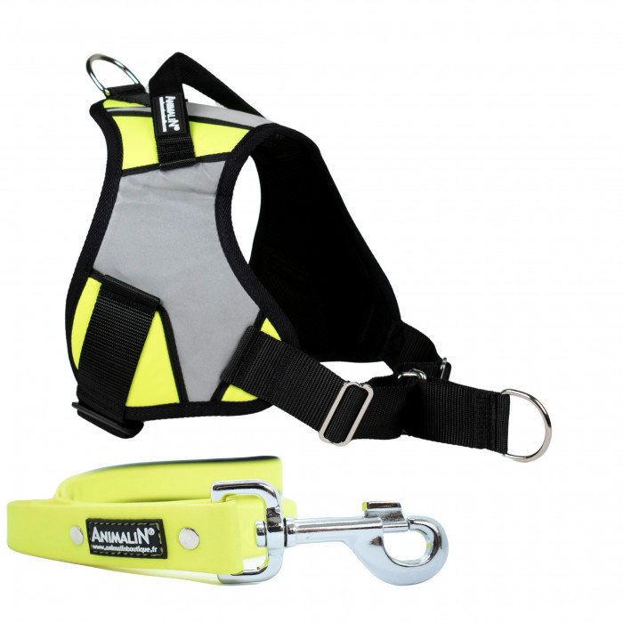 -15% Kit Harnais Animalin® REFLEX PLUS Jaune + Laisse Fluo plate 150 cm/25 mm