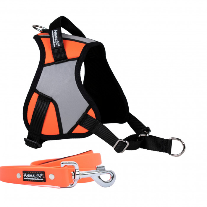 -10% Kit Harnais Animalin® REFLEX PLUS Orange + Laisse Fluo plate 150 cm/25 mm
