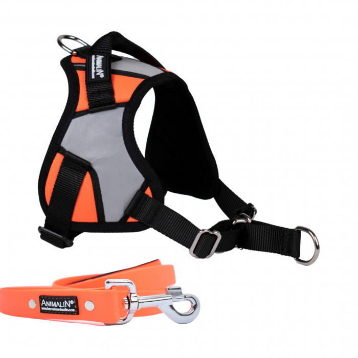 -15% Kit Harnais Animalin® REFLEX PLUS Orange + Laisse Fluo plate 150 cm/20 mm
