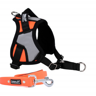 -10% Kit Harnais Animalin® REFLEX PLUS Orange + Laisse Fluo plate 150 cm/20 mm