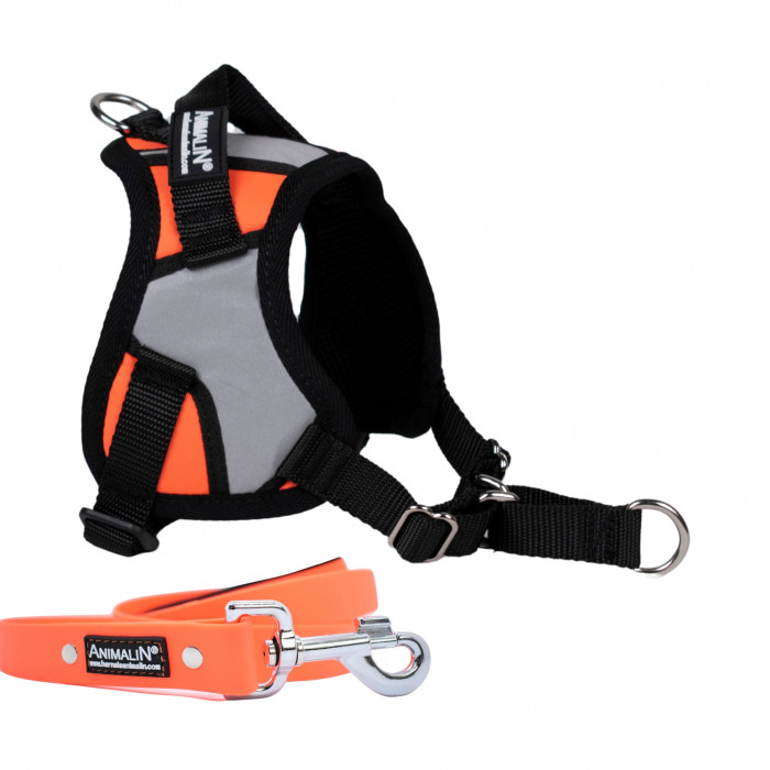 -10% Kit Harnais Animalin® REFLEX PLUS Orange + Laisse Fluo plate 150 cm/20 mm