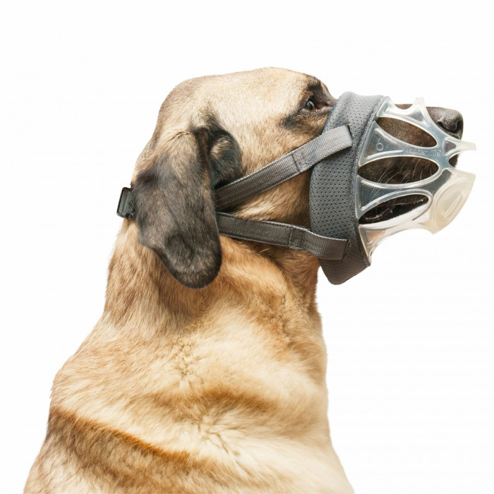 Muselière Baskerville transparente (Invisa) 6 tailles