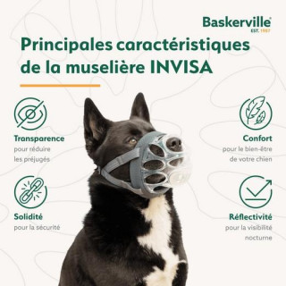 Muselière Baskerville transparente (Invisa) 6 tailles