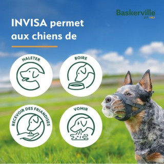 Muselière Baskerville transparente (Invisa) 6 tailles