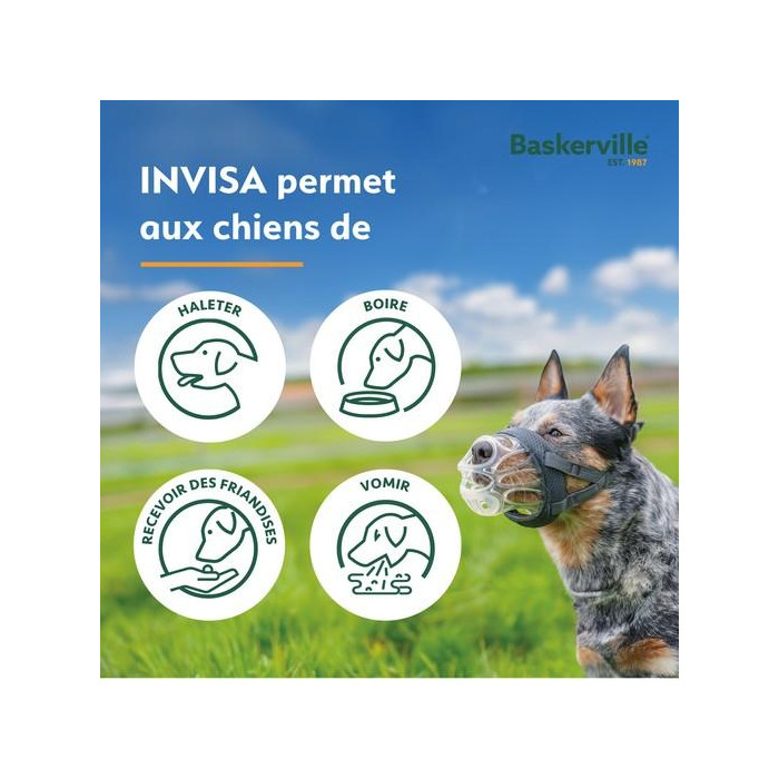 Muselière Baskerville transparente (Invisa) 6 tailles