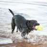 Ballon de rugby KONG avec sifflet (KONG AirDog® Squeaker Football)