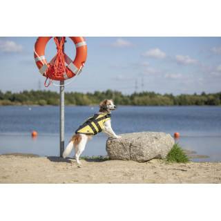 Gilet de flottaison pour chien (5 tailles)