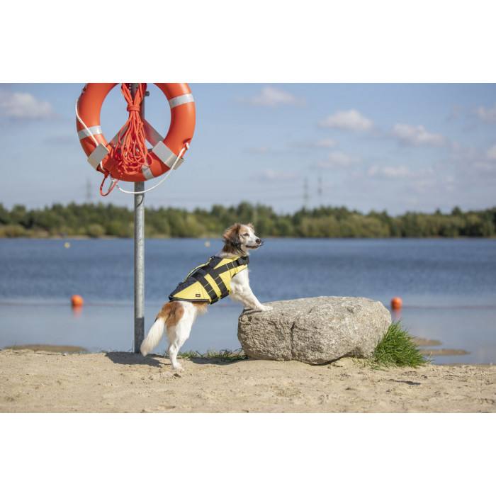 Gilet de flottaison pour chien (5 tailles)
