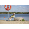 Gilet de flottaison pour chien (5 tailles)