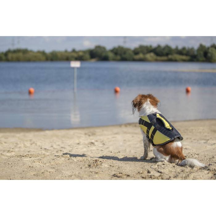 Gilet de flottaison pour chien (5 tailles)