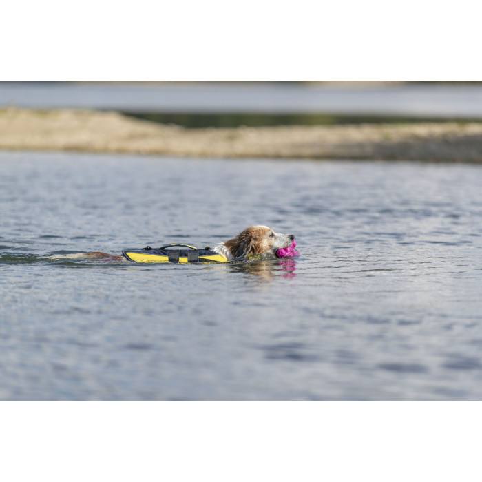 Gilet de flottaison pour chien (5 tailles)