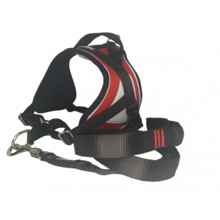 -10% Kit Sellerie – Harnais Reflex Rouge + Laisse renforcée ANIMALIN