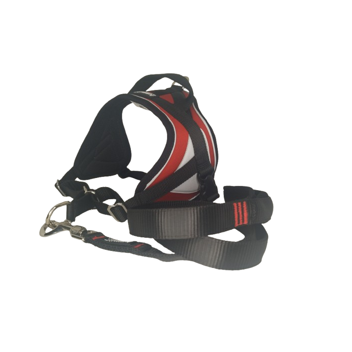 -10% Kit Sellerie – Harnais Reflex Rouge + Laisse renforcée ANIMALIN