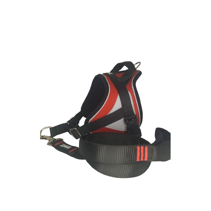 -10% Kit Sellerie – Harnais Reflex Rouge + Laisse renforcée ANIMALIN