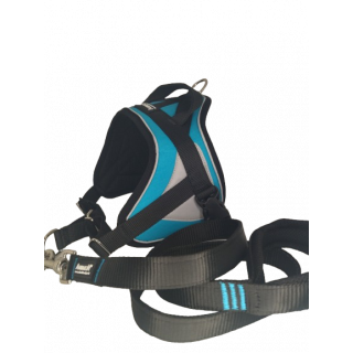 -10% Kit Sellerie – Harnais Reflex Bleu + Laisse renforcée ANIMALIN