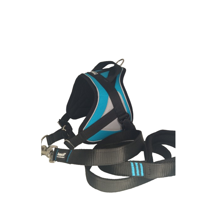 -10% Kit Sellerie – Harnais Reflex Bleu + Laisse renforcée ANIMALIN