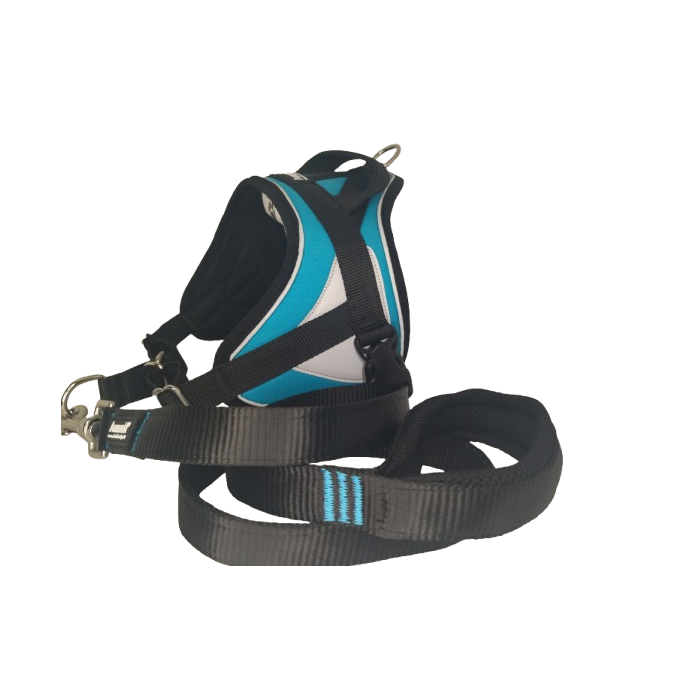 -10% Kit Sellerie – Harnais Reflex Bleu + Laisse renforcée ANIMALIN