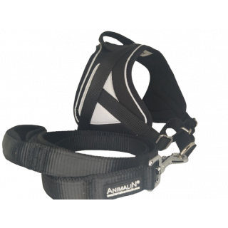-10% Kit Sellerie – Harnais Reflex Noir + Laisse renforcée ANIMALIN