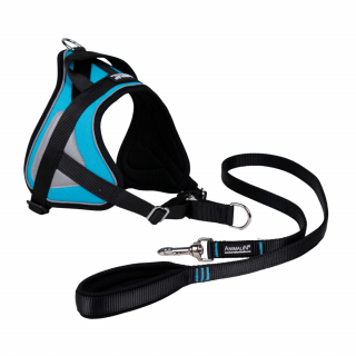 -15% Kit Sellerie – Harnais Reflex Bleu + Laisse ANIMALIN