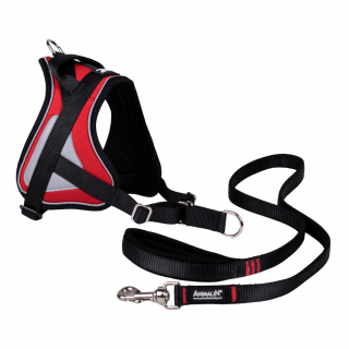 -15% Kit Sellerie – Harnais Reflex Rouge + Laisse ANIMALIN