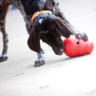 KONG Wobbler (2 tailles)