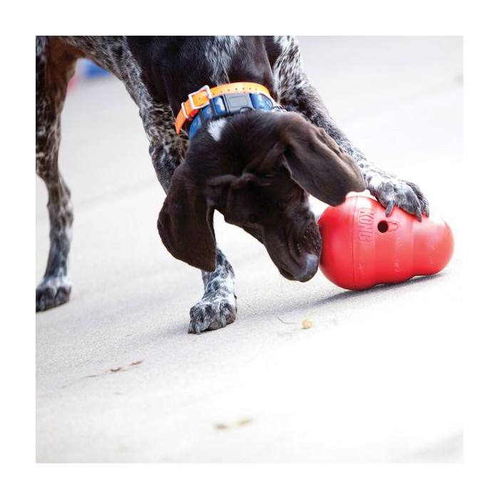 KONG Wobbler (2 tailles)