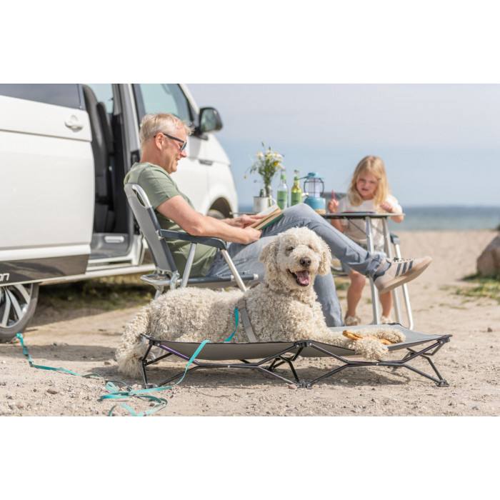 Lit de camping pour chiens (Taille unique 120 × 22 × 60 cm)