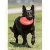 Frisbee KONG (2 diamètres)