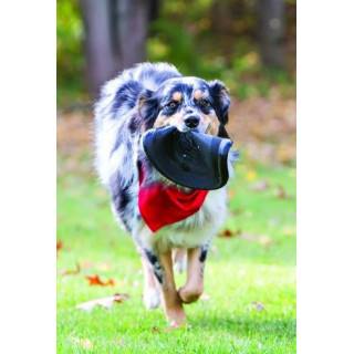 Frisbee KONG Extreme