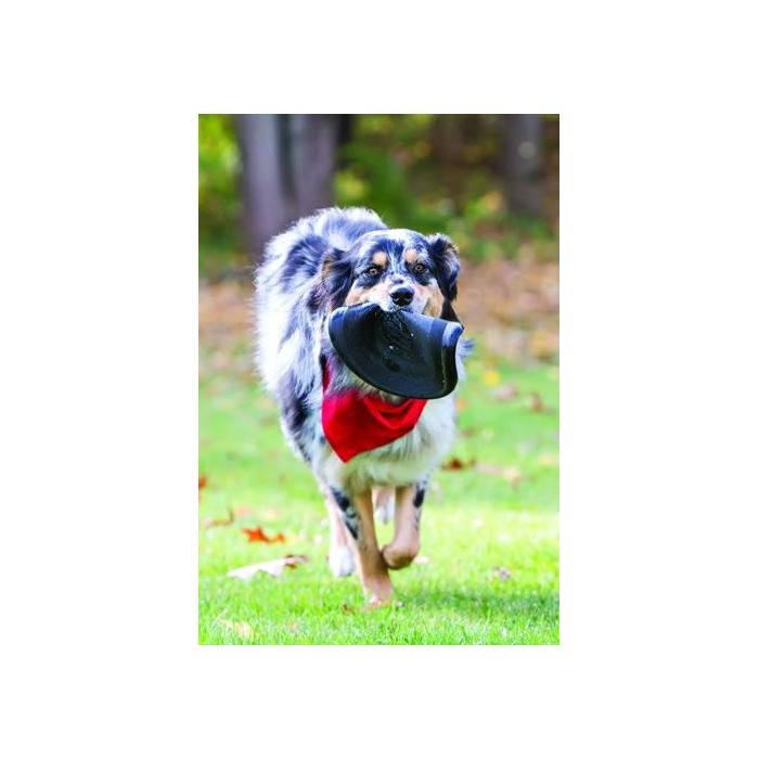 Frisbee KONG Extreme