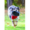 Frisbee KONG Extreme