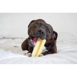 Bâtonnet de fromage à mâcher 100 % naturel (Grands Chiens)