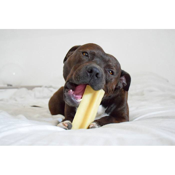 Bâtonnet de fromage à mâcher 100 % naturel (Grands Chiens)